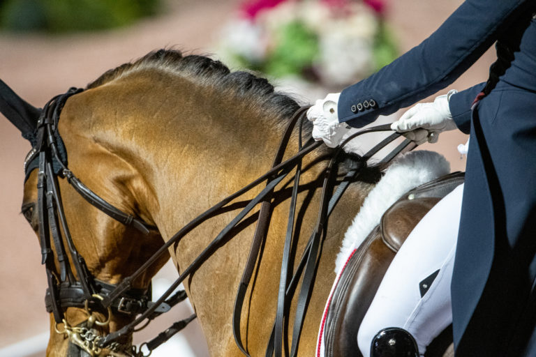 dressage grand prix
