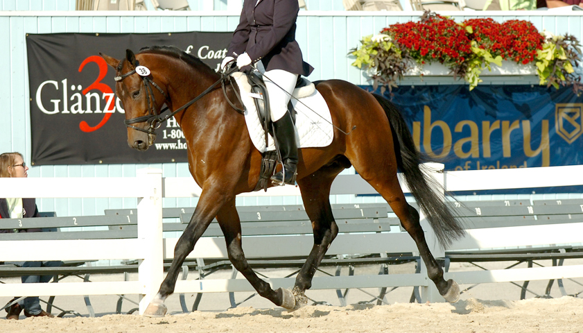 DT_Trot8-copy2