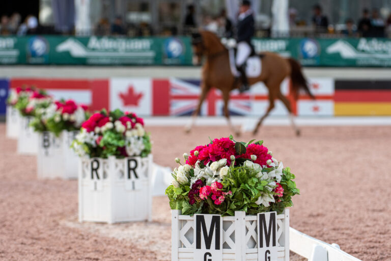 GERMichael KlimkeHarmony's Royal Dancer